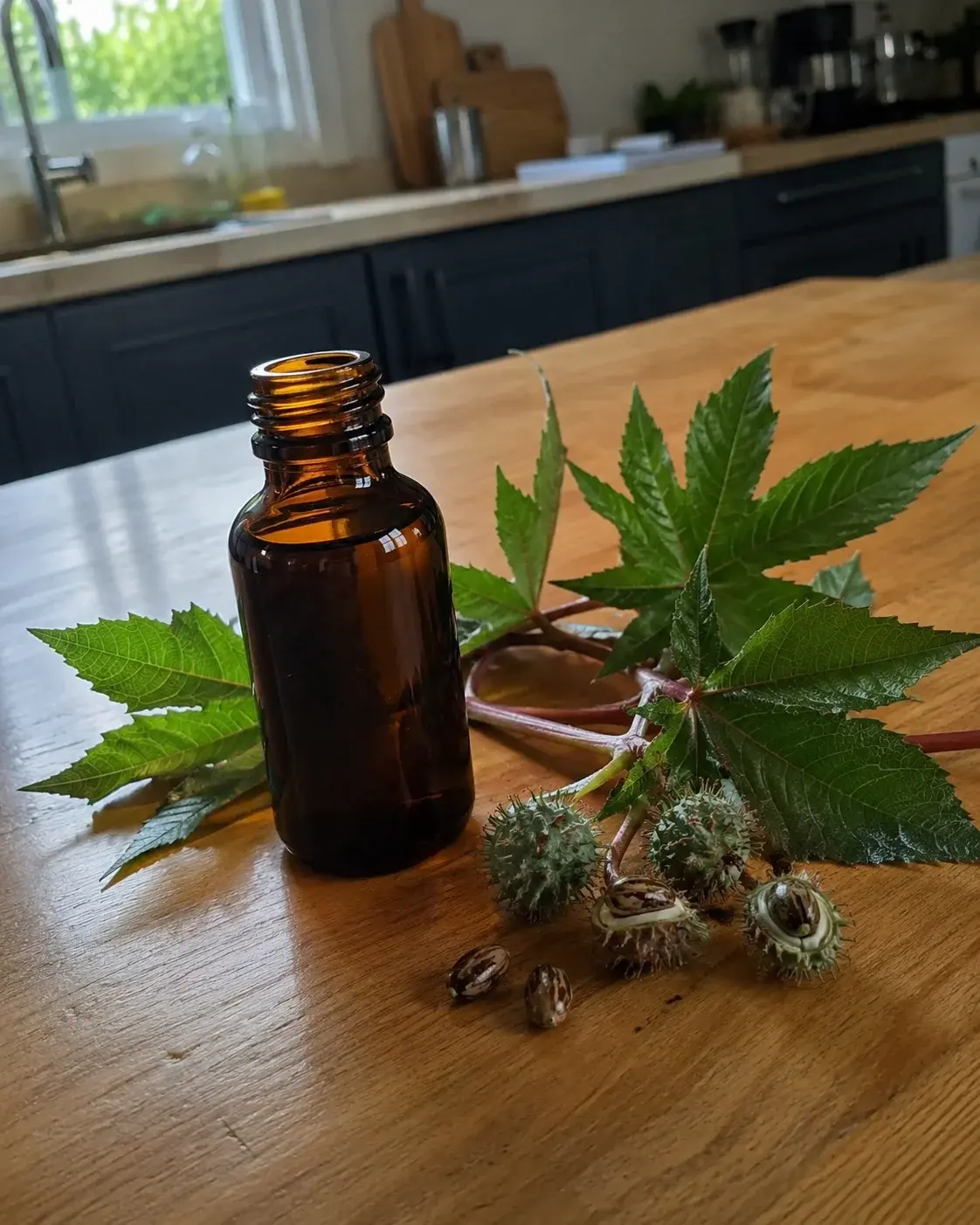 Bočica ricinusovog ulja pored listova i semenki ricinusa